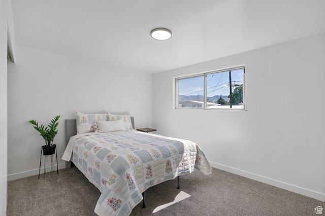 672 Nelson Ave, Tooele, UT 84074 - bedroom with carpet and baseboards