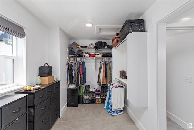325 W 3170 S, Nibley, UT 84321 - spacious closet featuring light colored carpet