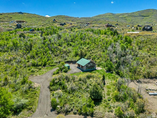 1675 S Beaver Bench Rd E Unit 1417, Heber City, UT 84032 - view of subject property with mountains