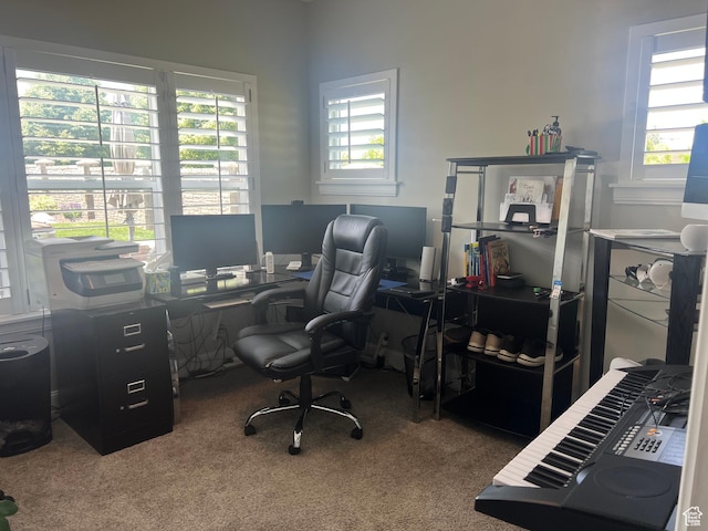 3256 W Harvest Chase Dr, South Jordan, UT 84095 - office area with carpet flooring