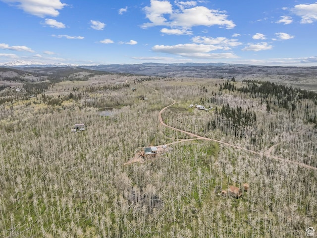 1085 Moose Hollow Rd, Robertson, WY 82944 - drone / aerial view of mountains and a heavily wooded area
