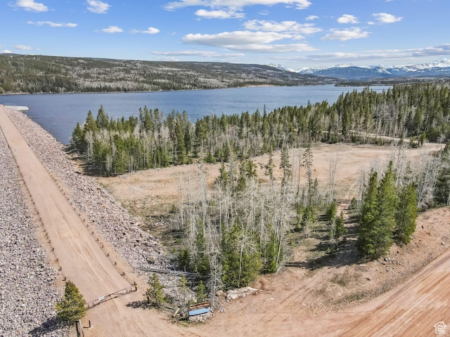 1085 Moose Hollow Rd, Robertson, WY 82944 - water view with a mountain backdrop
