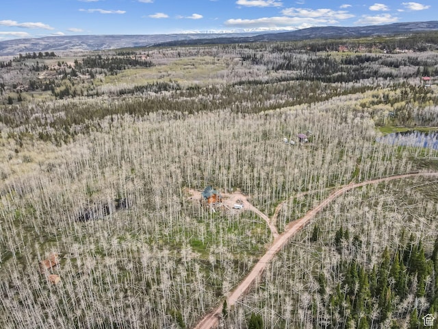 1085 Moose Hollow Rd, Robertson, WY 82944 - view of property location with a heavily wooded area and mountains