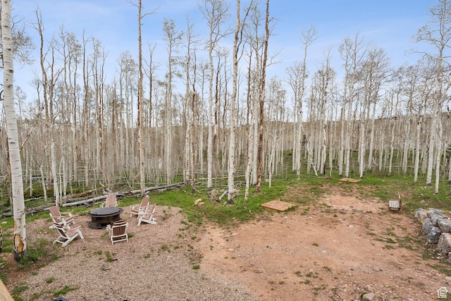 1085 Moose Hollow Rd, Robertson, WY 82944 - view of yard with an outdoor fire pit