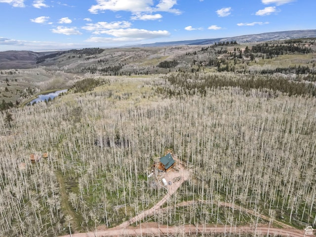 1085 Moose Hollow Rd, Robertson, WY 82944 - aerial view of a water and mountain view