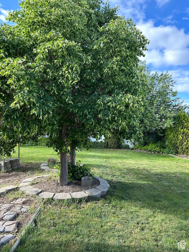 1875 N 270 W, Tooele, UT 84074 - view of green lawn