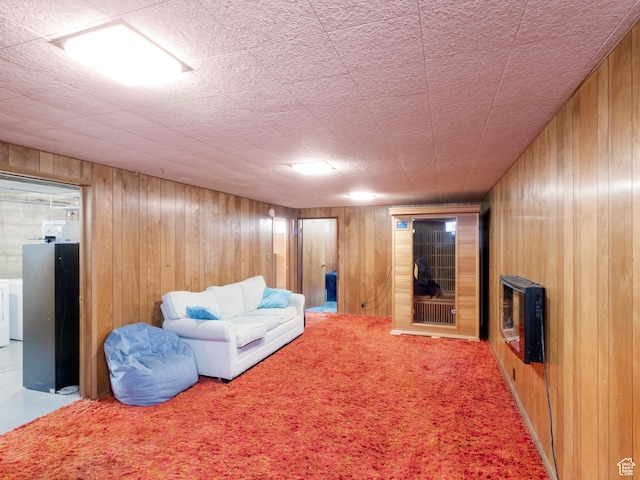 1026 N 500 E, Logan, UT 84341 - carpeted living area featuring wood walls, heating unit, and washer / dryer