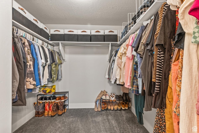104 S 1250 E, Santaquin, UT 84655 - walk in closet with carpet