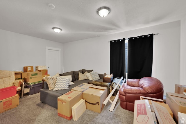 12548 S Alice Ct W, Riverton, UT 84065 - living area with light carpet