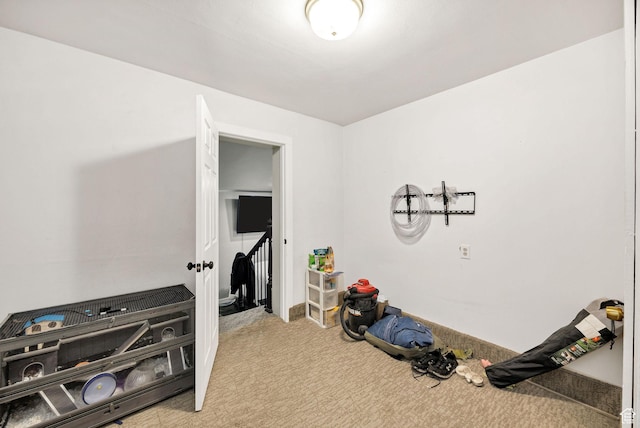10205 W 10400 N, Tremonton, UT 84337 - workout room featuring carpet floors