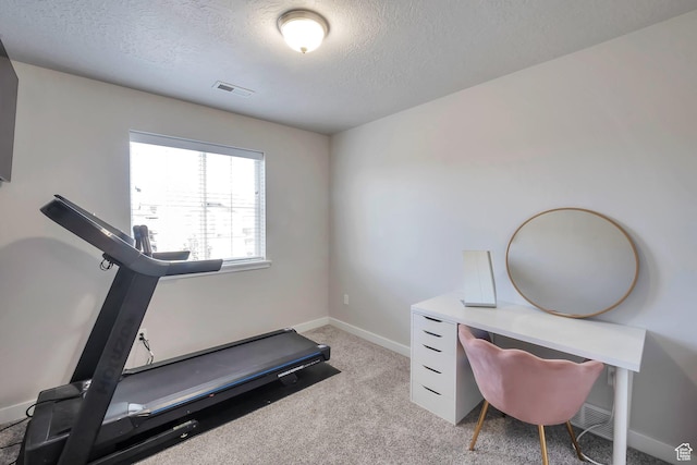 945 W Mckenna Rd, Bluffdale, UT 84065 - exercise room featuring a textured ceiling, baseboards, and light colored carpet