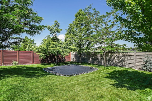 149 E 230 N, Vineyard, UT 84059 - view of yard