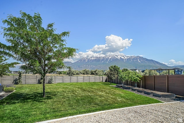 149 E 230 N, Vineyard, UT 84059 - view of yard with a mountain view