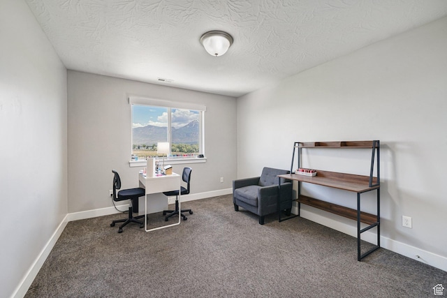 149 E 230 N, Vineyard, UT 84059 - home office featuring carpet, a textured ceiling, and baseboards