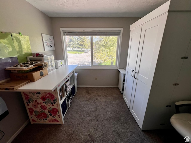 130 Cascade Quey St, Soda Springs, ID 83276 - home office with dark colored carpet, baseboards, and a textured ceiling