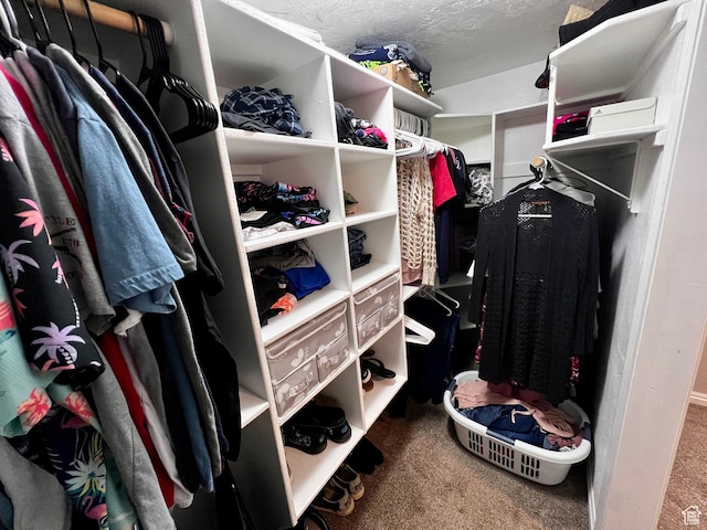130 Cascade Quey St, Soda Springs, ID 83276 - spacious closet with carpet