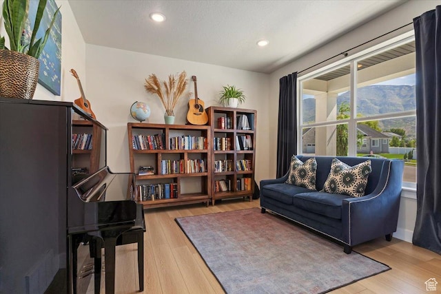 325 N 1200 E, American Fork, UT 84003 - living area featuring light wood-type flooring and recessed lighting