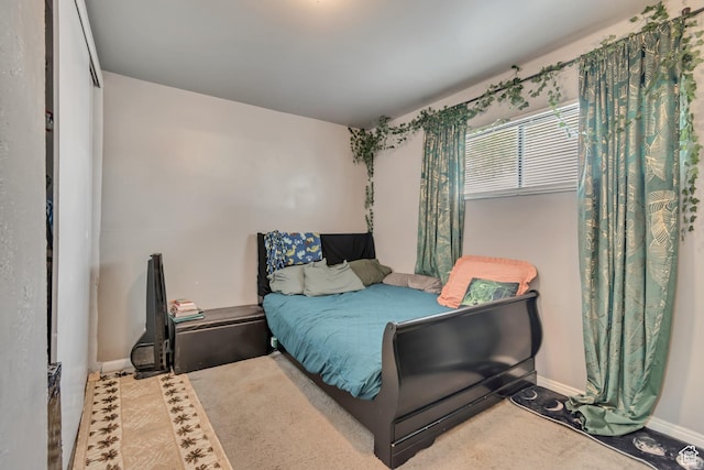 3067 W Lemay Ave S, West Valley City, UT 84119 - bedroom featuring baseboards