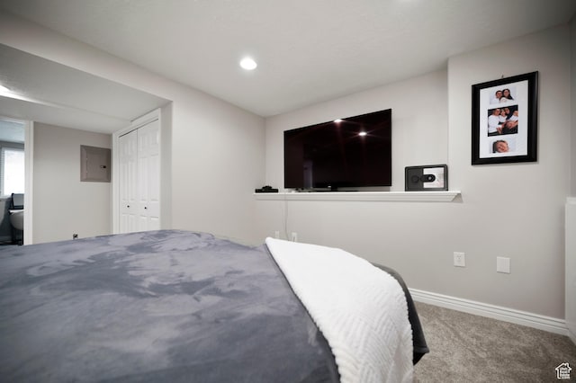 679 W 3600 S, Riverdale, UT 84405 - bedroom featuring electric panel, carpet flooring, baseboards, recessed lighting, and a closet
