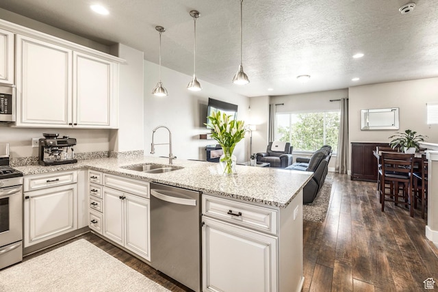 1722 W Naxos Ln, South Jordan, UT 84095 - kitchen featuring appliances with stainless steel finishes, a sink, a peninsula, dark wood-style flooring, and recessed lighting