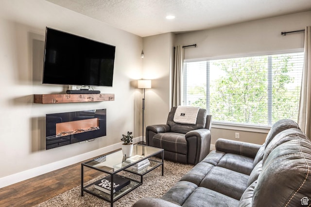 1722 W Naxos Ln, South Jordan, UT 84095 - living room featuring wood finished floors, a glass covered fireplace, a textured ceiling, baseboards, and recessed lighting