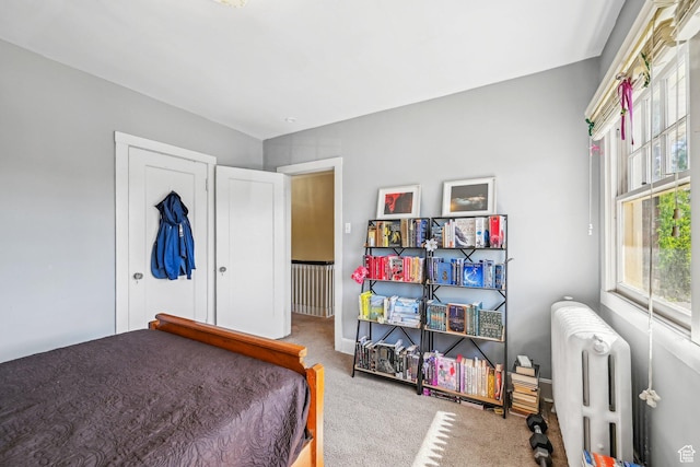114 N Virginia St, Salt Lake City, UT 84103 - carpeted bedroom with radiator heating unit