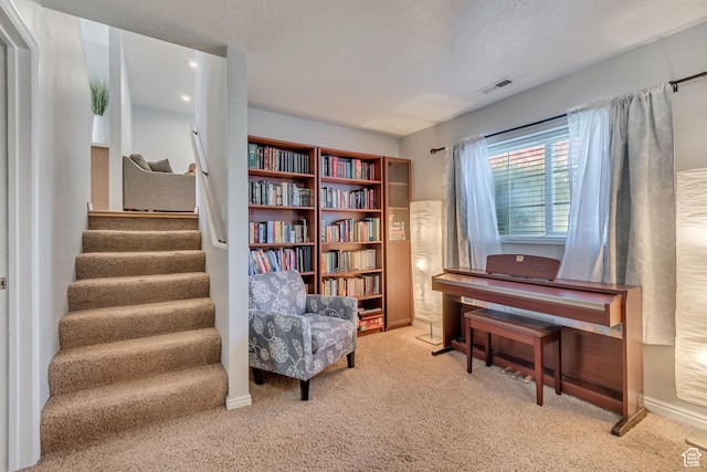 775 N 250 W, Springville, UT 84663 - sitting room featuring carpet floors, stairway, and a textured ceiling