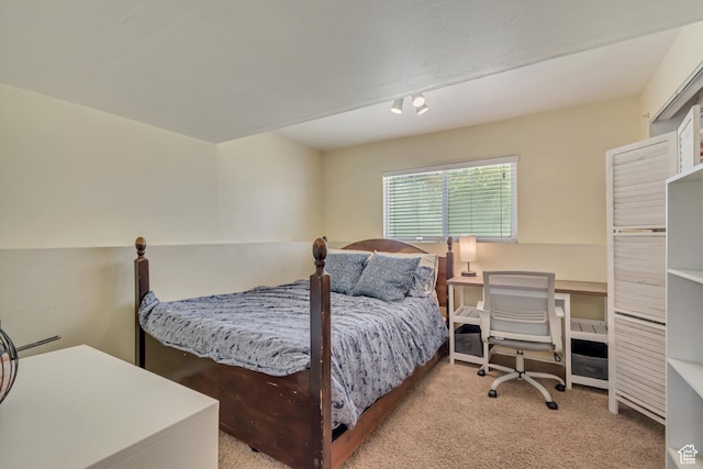 775 N 250 W, Springville, UT 84663 - carpeted bedroom with track lighting