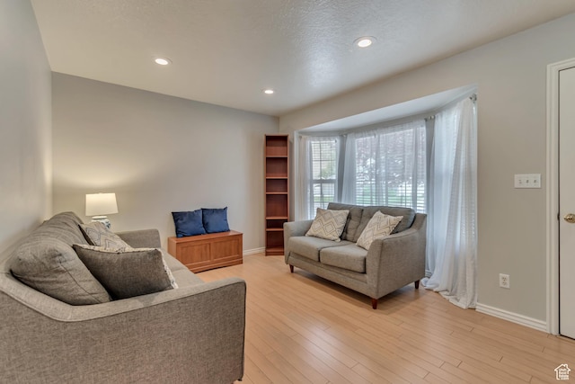 775 N 250 W, Springville, UT 84663 - living room featuring baseboards, light wood-style floors, and recessed lighting