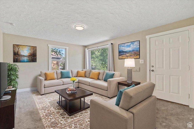 917 E Sullivan Rd, Ogden, UT 84403 - living room with light carpet, baseboards, and a textured ceiling