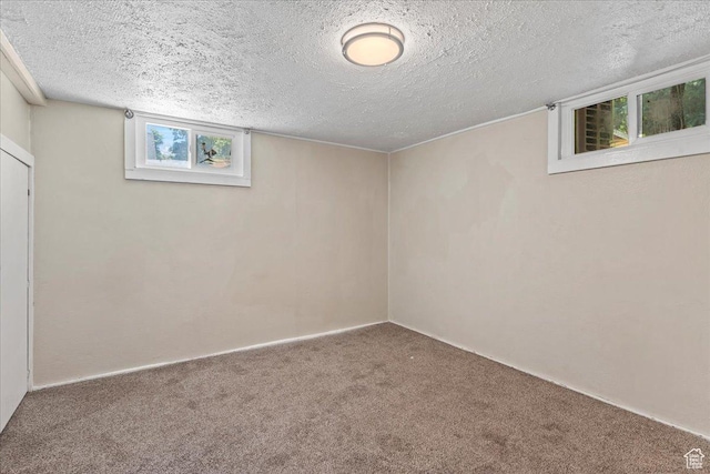 917 E Sullivan Rd, Ogden, UT 84403 - below grade area with carpet floors and a textured ceiling