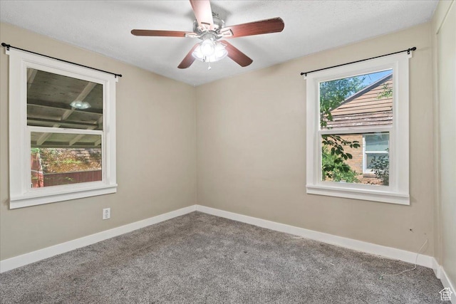917 E Sullivan Rd, Ogden, UT 84403 - spare room with carpet floors, baseboards, and ceiling fan