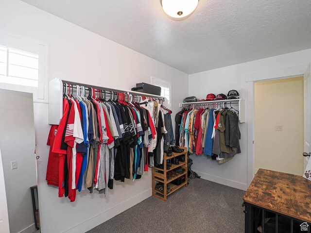 3022 S Shoreline Dr W, Syracuse, UT 84075 - spacious closet with carpet floors