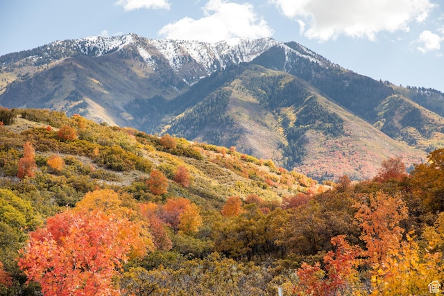 1025 Bear Hollow Dr Unit 146, Woodland Hills, UT 84653