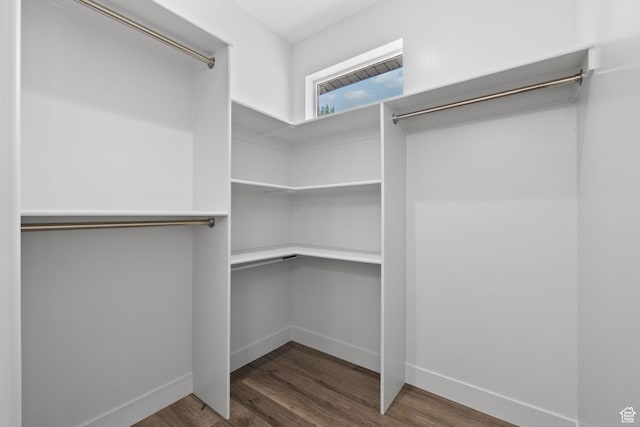 387 N 300 E, Payson, UT 84651 - spacious closet featuring wood finished floors