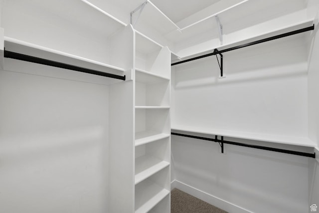 12719 S Outlaw Pl E, Draper, UT 84020 - spacious closet featuring carpet floors