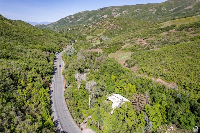 5623 E Emigration Canyon Rd, Emigration Canyon, UT 84108 - view of mountain backdrop