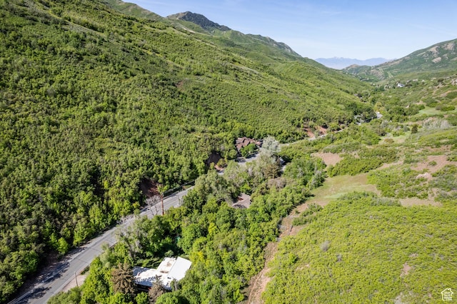 5623 E Emigration Canyon Rd, Emigration Canyon, UT 84108 - view of mountain background with a forest
