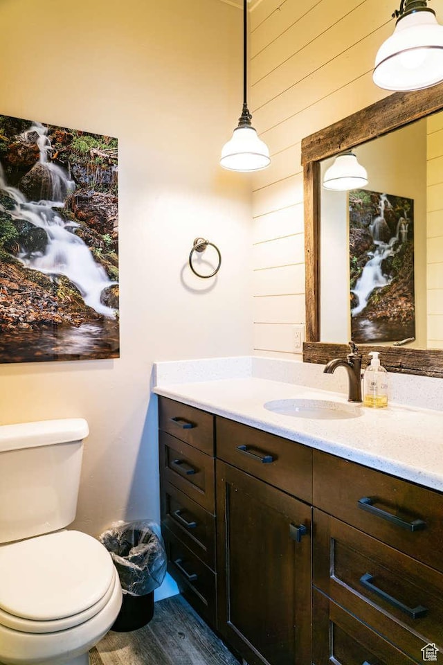 300 S 100th St W, Garden City, UT 84028 - half bathroom with vanity, toilet, and wood finished floors