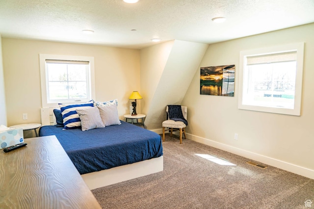 300 S 100th St W, Garden City, UT 84028 - bedroom featuring a textured ceiling, carpet floors, and baseboards