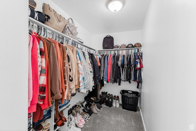 4155 S 3450 W, West Haven, UT 84401 - walk in closet featuring carpet floors