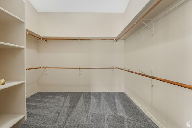 1267 E Hickenlooper Way S, Draper, UT 84020 - spacious closet featuring carpet