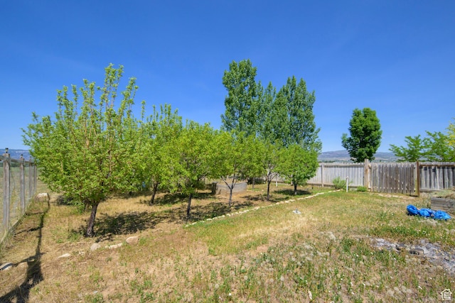 14745 N 8375 E, Spring City, UT 84662 - view of fenced backyard