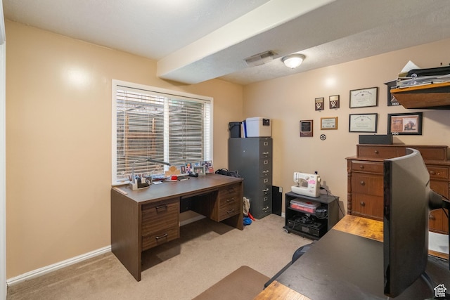 5029 W Copper Meadow Ln S, West Jordan, UT 84088 - office with light carpet
