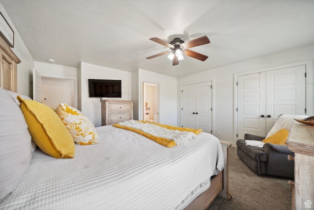 384 N 600 E, Payson, UT 84651 - bedroom featuring two closets, carpet, and a ceiling fan