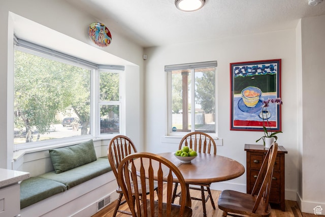 1217 Talisman Dr, Salt Lake City, UT 84116 - dining area featuring light wood-type flooring, healthy amount of natural light, baseboards, and a textured ceiling