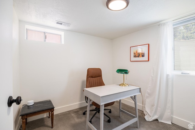 1217 Talisman Dr, Salt Lake City, UT 84116 - office with baseboards, healthy amount of natural light, and carpet