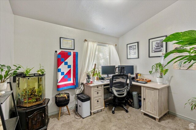 1687 Kylee Ln, Ogden, UT 84404 - office with light carpet, lofted ceiling, a textured wall, a textured ceiling, and baseboards