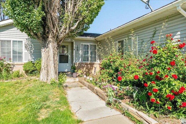 1687 Kylee Ln, Ogden, UT 84404 - view of exterior entry with a lawn