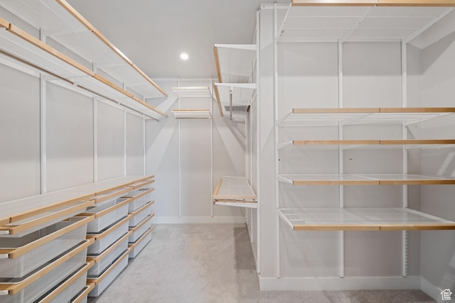 7862 S Danish Pine Ln, Salt Lake City, UT 84121 - spacious closet with carpet